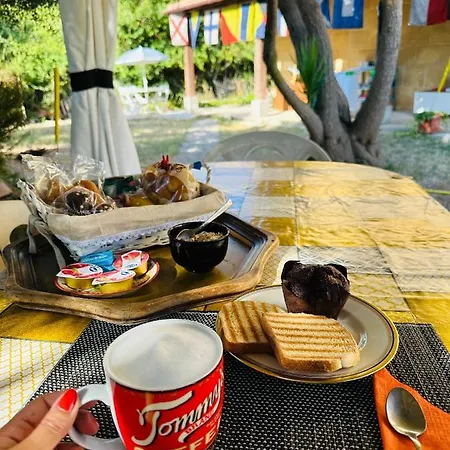 El Matorral ألغيرو