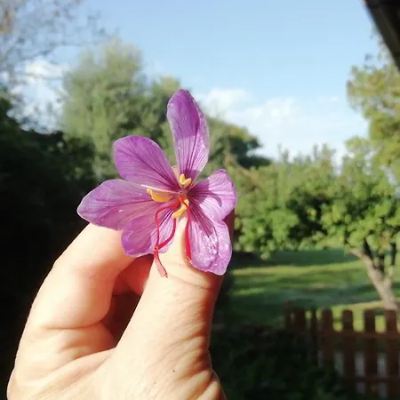 El Matorral 3* ألغيرو