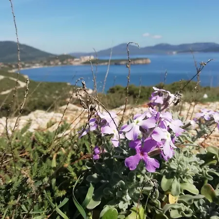 فندق مبيت وإفطار El Matorral ألغيرو