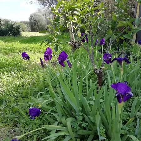 El Matorral Alghero