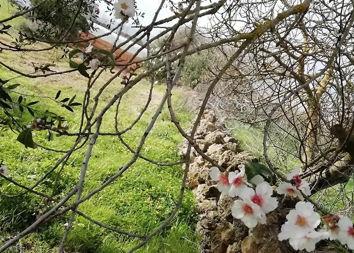 Alojamento de Acomodação e Pequeno-almoço El Matorral Alghero