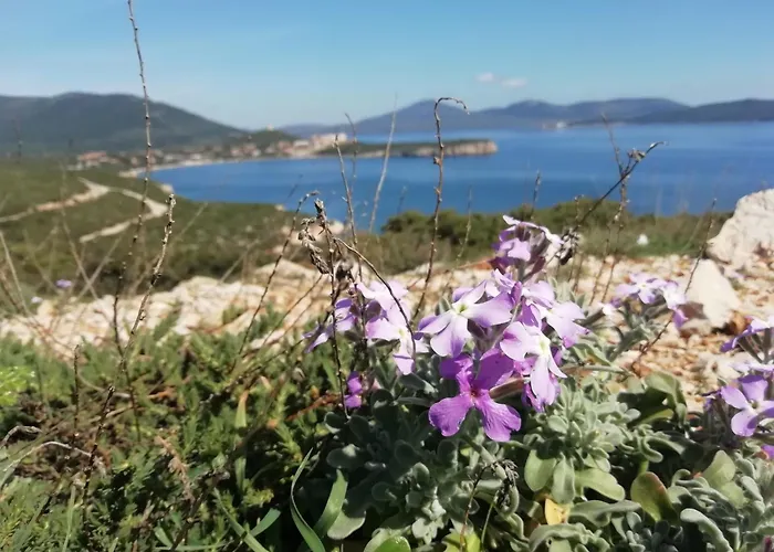 Alojamento de Acomodação e Pequeno-almoço El Matorral Alghero