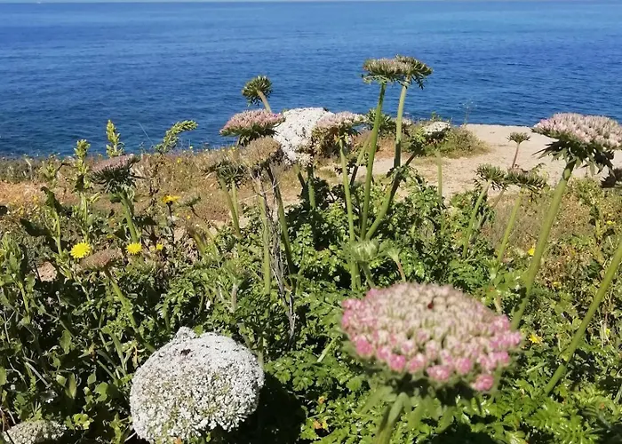 El Matorral Alojamento de Acomodação e Pequeno-almoço Alghero