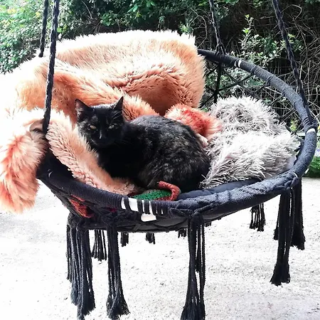 El Matorral Bed and breakfast Alguer