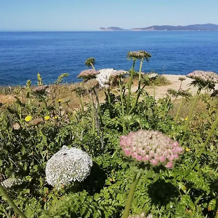 El Matorral ベッド・アンド・ブレックファスト アルゲーロ