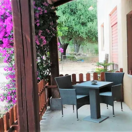 El Matorral 3* アルゲーロ