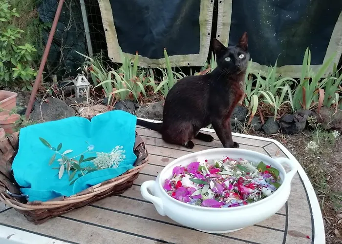 El Matorral Bed and breakfast Alguer