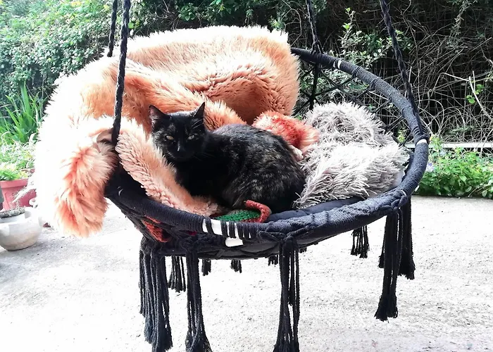 El Matorral Nocleg ze śniadaniem Alghero