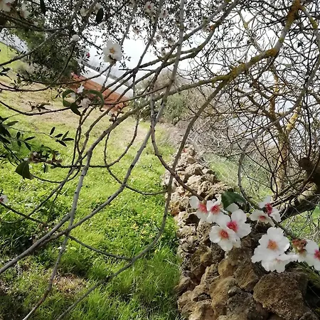 לינה וארוחת בוקר El Matorral אלגהרו