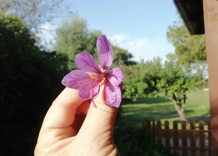 El Matorral 3* Альгеро